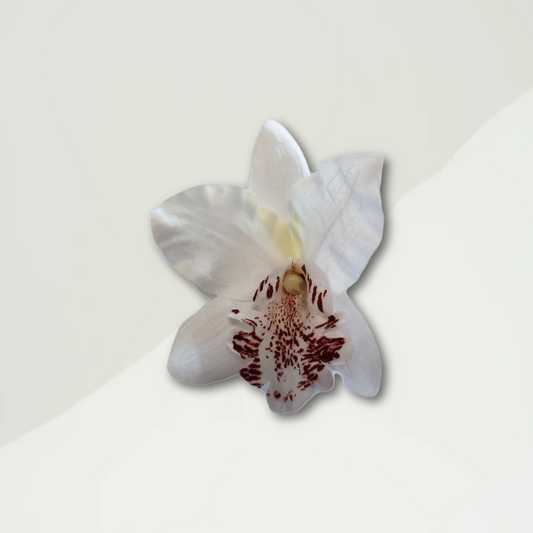Oriental Orchid Design Hair Clip